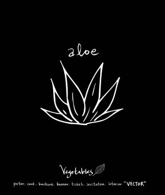 Sebze ve meyve resimler / el çekilmiş gıda maddeleri - vektör