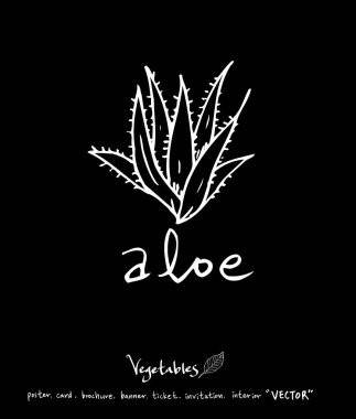 Sebze ve meyve resimler / el çekilmiş gıda maddeleri - vektör