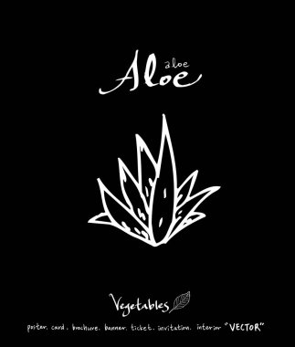 Sebze ve meyve resimler / el çekilmiş gıda maddeleri - vektör