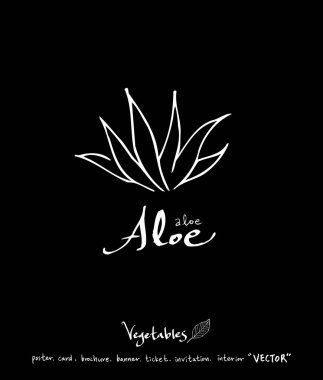 Sebze ve meyve resimler / el çekilmiş gıda maddeleri - vektör