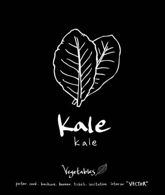 Sebze ve meyve resimler / el çekilmiş gıda maddeleri - vektör