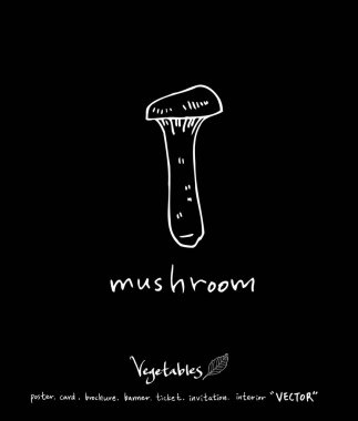 Sebze ve meyve resimler / el çekilmiş gıda maddeleri - vektör