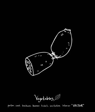 Sebze ve meyve resimler / el çekilmiş gıda maddeleri - vektör