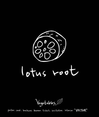 Sebze ve meyve resimler / el çekilmiş gıda maddeleri - vektör