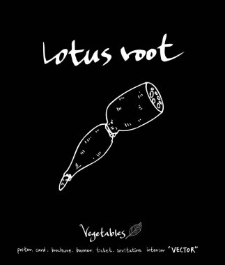 Sebze ve meyve resimler / el çekilmiş gıda maddeleri - vektör