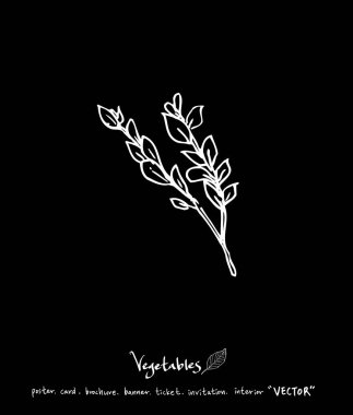 Sebze ve meyve resimler / el çekilmiş gıda maddeleri - vektör