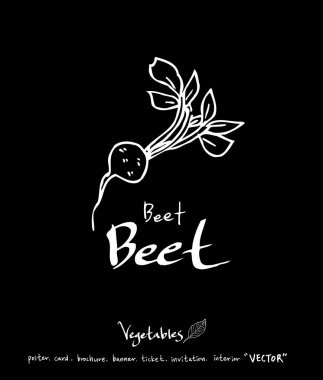 Sebze ve meyve resimler / el çekilmiş gıda maddeleri - vektör