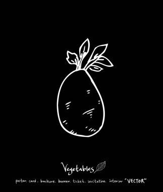 Sebze ve meyve resimler / el çekilmiş gıda maddeleri - vektör