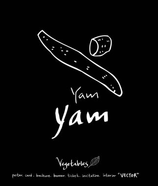 Sebze ve meyve resimler / el çekilmiş gıda maddeleri - vektör