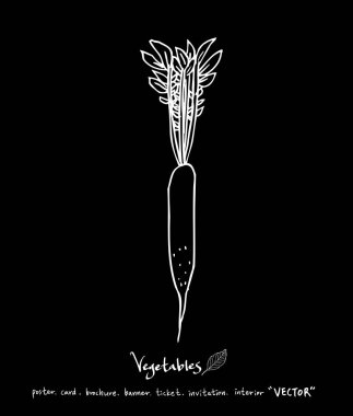 Sebze ve meyve resimler / el çekilmiş gıda maddeleri - vektör