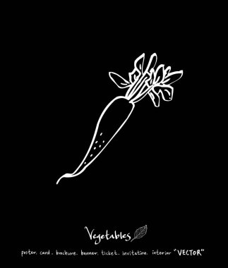 Sebze ve meyve resimler / el çekilmiş gıda maddeleri - vektör