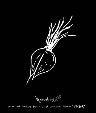 Sebze ve meyve resimler / el çekilmiş gıda maddeleri - vektör