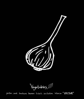 Sebze ve meyve resimler / el çekilmiş gıda maddeleri - vektör