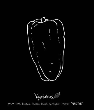 Sebze ve meyve resimler / el çekilmiş gıda maddeleri - vektör