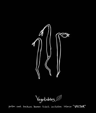 Sebze ve meyve resimler / el çekilmiş gıda maddeleri - vektör