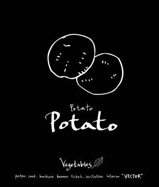 Sebze ve meyve resimler / el çekilmiş gıda maddeleri - vektör