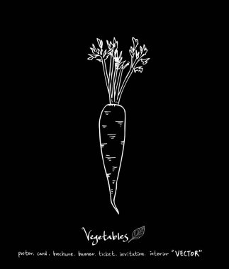 Sebze ve meyve resimler / el çekilmiş gıda maddeleri - vektör