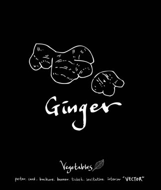 Sebze ve meyve resimler / el çekilmiş gıda maddeleri - vektör