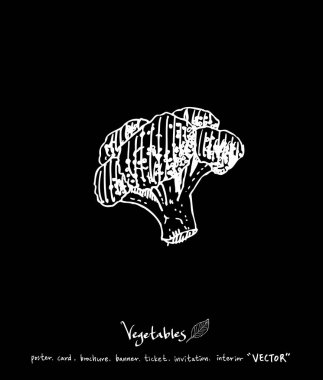 El çekilmiş gıda maddeleri - sebze ve meyve resimleri - vektör