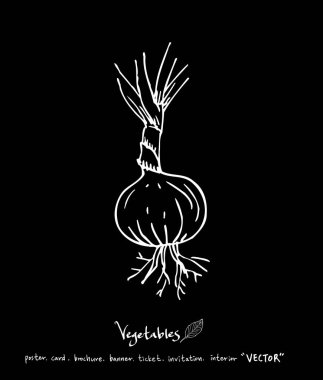 El çekilmiş gıda maddeleri - sebze ve meyve resimleri - vektör