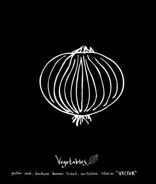 El çekilmiş gıda maddeleri - sebze ve meyve resimleri - vektör