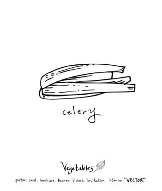 El çekilmiş gıda maddeleri - sebze ve meyve resimleri - vektör