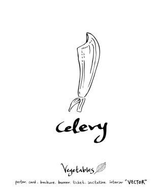 El çekilmiş gıda maddeleri - sebze ve meyve resimleri - vektör