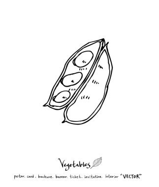 El çekilmiş gıda maddeleri - sebze ve meyve resimleri - vektör