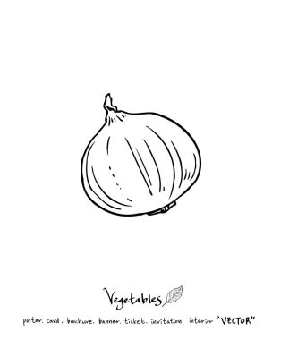 El çekilmiş gıda maddeleri - sebze ve meyve resimleri - vektör