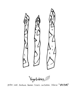 El çekilmiş gıda maddeleri - sebze ve meyve resimleri - vektör