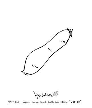 El çekilmiş gıda maddeleri - sebze ve meyve resimleri - vektör