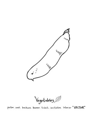 El çekilmiş gıda maddeleri - sebze ve meyve resimleri - vektör