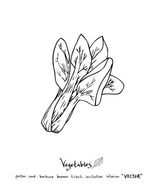 El çekilmiş gıda maddeleri - sebze ve meyve resimleri - vektör