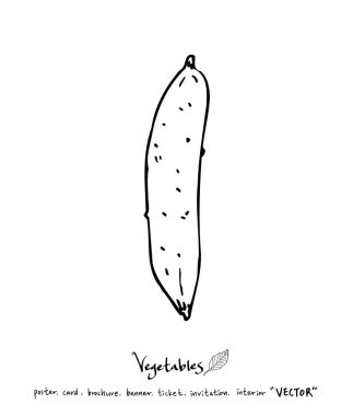 El çekilmiş gıda maddeleri - sebze ve meyve resimleri - vektör