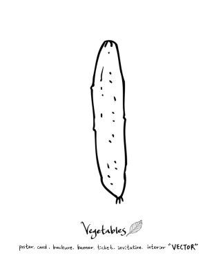 El çekilmiş gıda maddeleri - sebze ve meyve resimleri - vektör