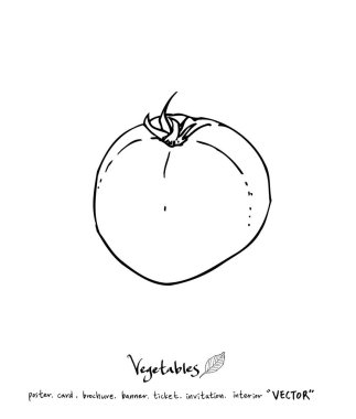 El çekilmiş gıda maddeleri - sebze ve meyve resimleri - vektör