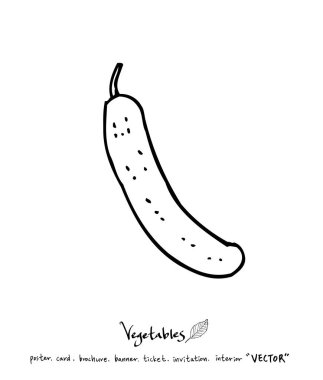 El çekilmiş gıda maddeleri - sebze ve meyve resimleri - vektör