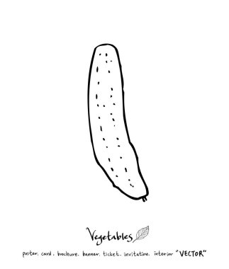 El çekilmiş gıda maddeleri - sebze ve meyve resimleri - vektör