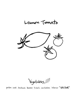 El çekilmiş gıda maddeleri - sebze ve meyve resimleri - vektör