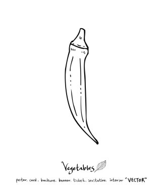 El çekilmiş gıda maddeleri - sebze ve meyve resimleri - vektör