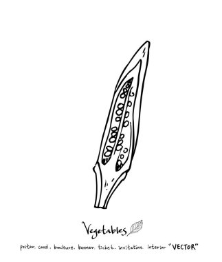 El çekilmiş gıda maddeleri - sebze ve meyve resimleri - vektör