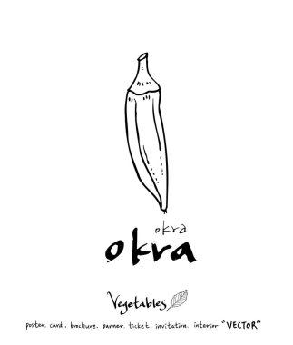 El çekilmiş gıda maddeleri - sebze ve meyve resimleri - vektör