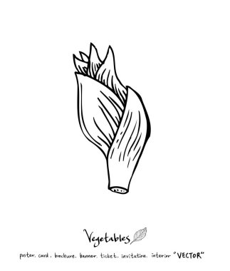 El çekilmiş gıda maddeleri - sebze ve meyve resimleri - vektör