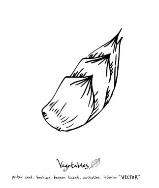 El çekilmiş gıda maddeleri - sebze ve meyve resimleri - vektör