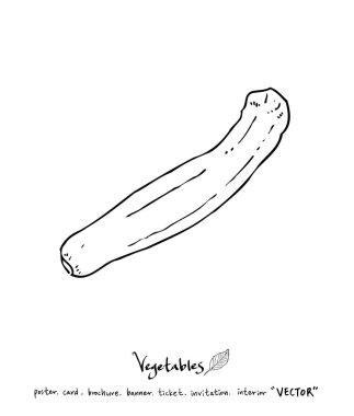 El çekilmiş gıda maddeleri - sebze ve meyve resimleri - vektör