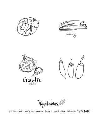 El çekilmiş gıda maddeleri - sebze ve meyve resimleri - vektör