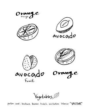 El çekilmiş gıda maddeleri - sebze ve meyve resimleri - vektör