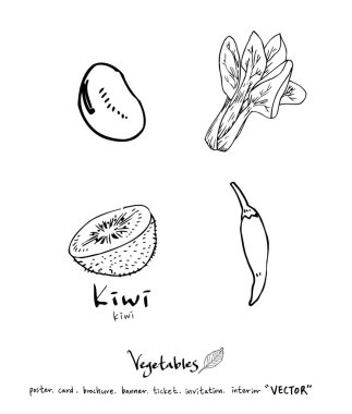 El çekilmiş gıda maddeleri - sebze ve meyve resimleri - vektör