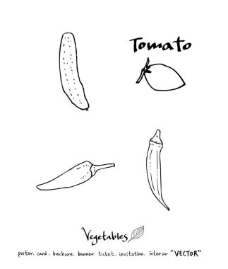 El çekilmiş gıda maddeleri - sebze ve meyve resimleri - vektör