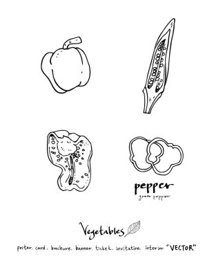 El çekilmiş gıda maddeleri - sebze ve meyve resimleri - vektör